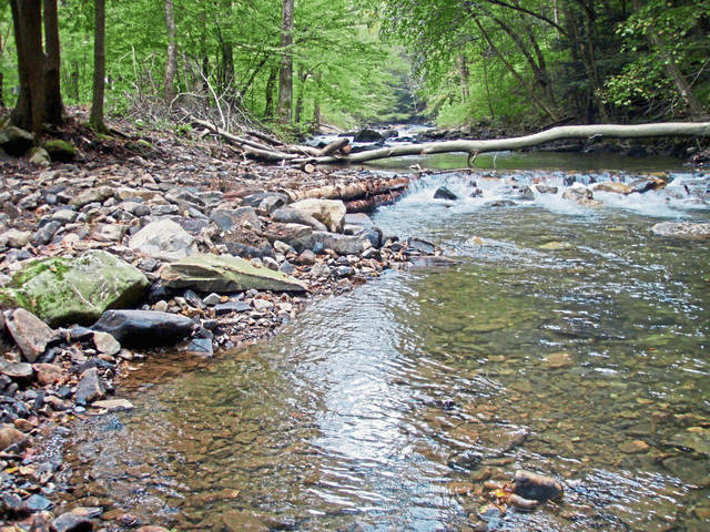 595232_web1_PA021071_2