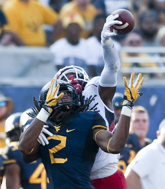 Steelers add QB Roback, WR White to their offseason roster