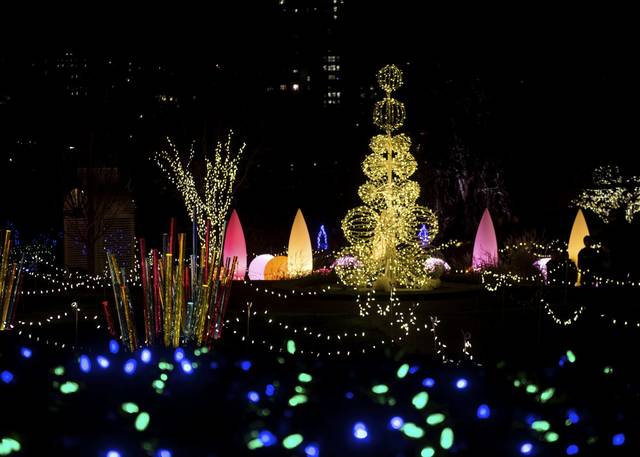 604701_web1_ptr-PhippsLights12-010519