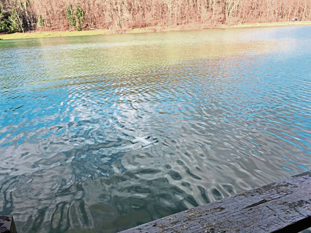 610211_web1_Cross-in-water