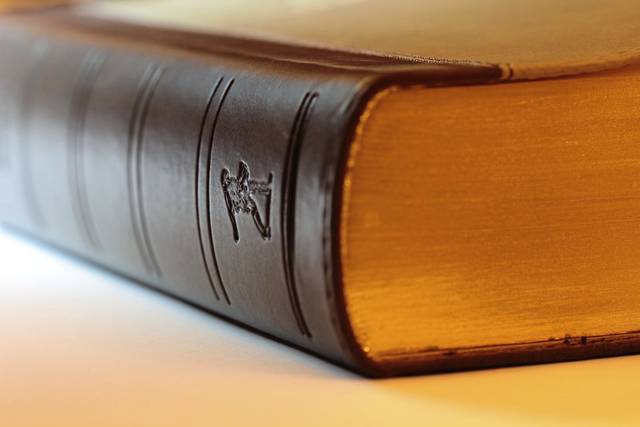 613826_web1_WEB-law-book