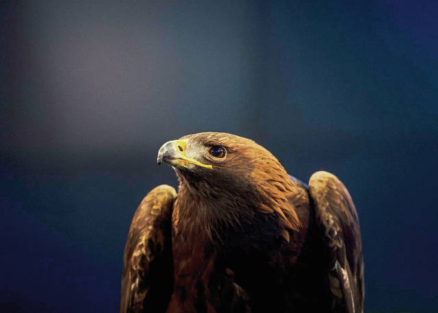 617138_web1_PTR-NationalAviary01-011019