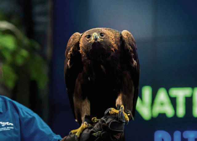 617138_web1_PTR-NationalAviary05-011019