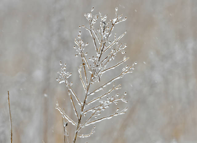 643396_web1_SnowRainMix2
