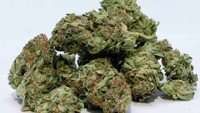 652222_web1_Potcannibas