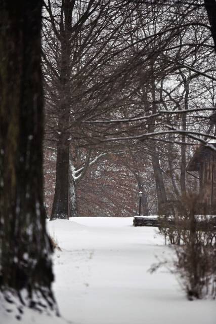 658583_web1_gtr-lo-oaksnow2-012119