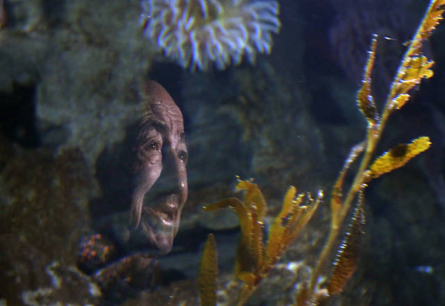 663992_web1_663992-52efaf20915c4028ba6426eefd2b5968 663992_web1_663992-52efaf20915c4028ba6426eefd2b5968