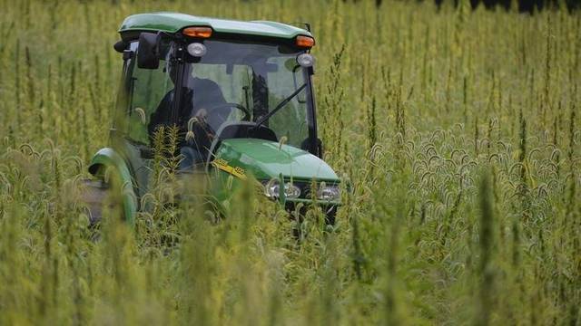 669880_web1_DxjPEvJWoAE6OSi