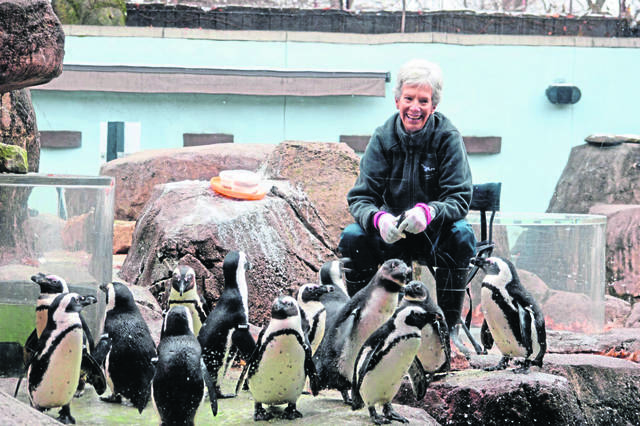 677501_web1_her-oharavolunteer-011719 677501_web1_her-oharavolunteer-011719