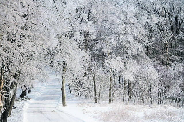 688982_web1_gtr-lo-winterfun002-012319