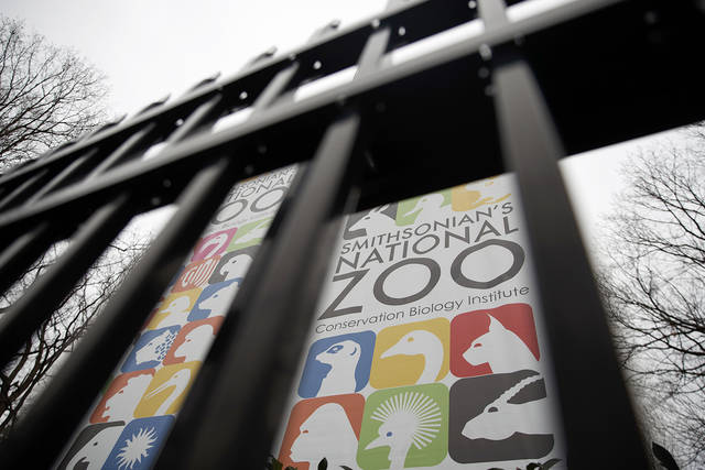 689106_web1_NationalZoo