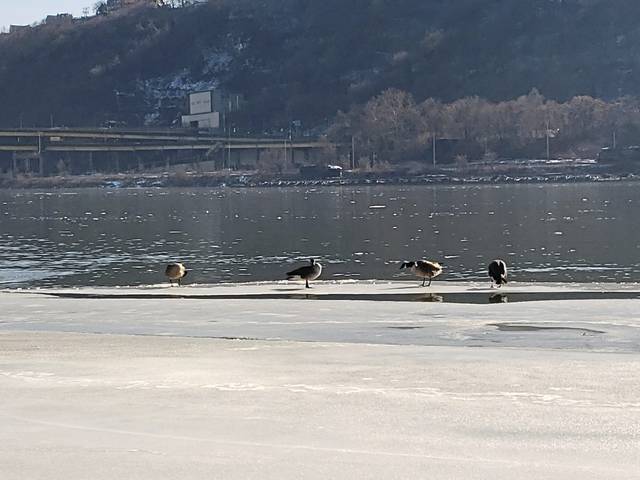 701818_web1_vnd-warmuppgh01-020419
