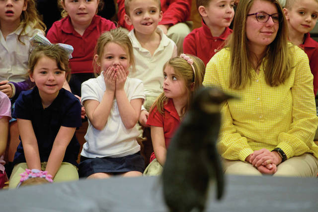 711312_web1_gtr-lo-penguins003-020519