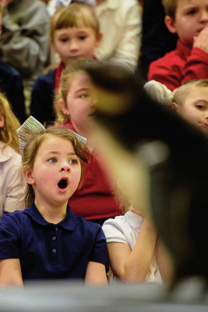 711312_web1_gtr-lo-penguins005-020519