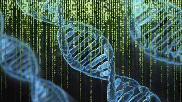 711316_web1_WEB-DNA-sequence