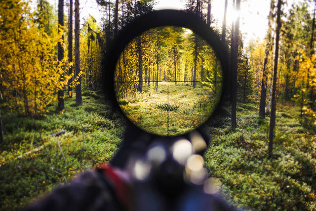 716000_web1_HuntingAim