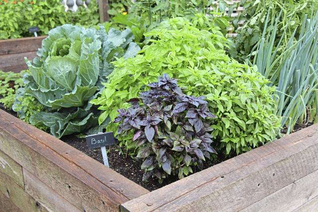 718244_web1_gtr-liv-garden-021019