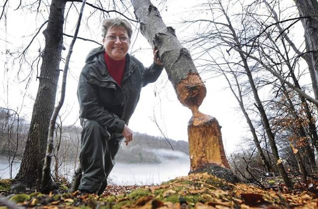 719347_web1_vnd-skunkSpring2-020719