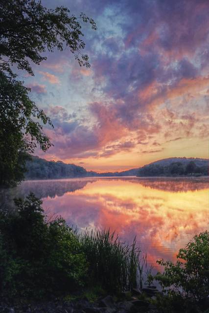 723983_web1_gtr-AndersonPhoto4-021119