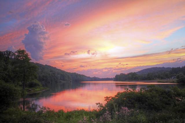 723983_web1_gtr-AndersonPhoto5-021119