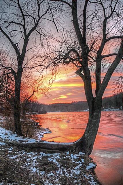 723983_web1_gtr-AndersonPhoto6-021119