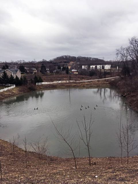 724272_web1_gtr-murryponds3-020919