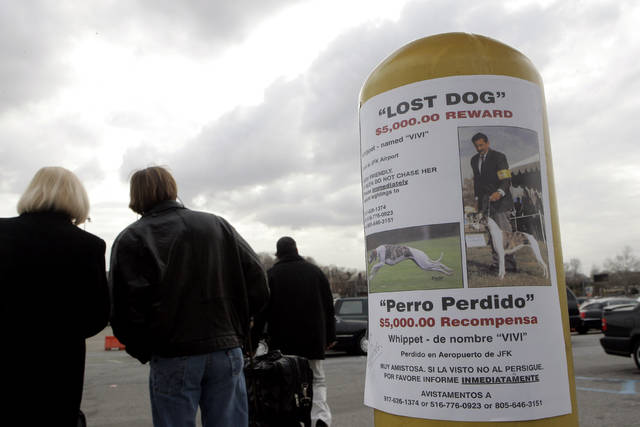 732822_web1_732822-aacaa12ae846402596ab1523b4594ed1 732822_web1_732822-aacaa12ae846402596ab1523b4594ed1