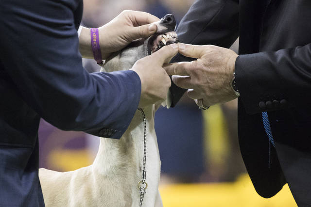 732822_web1_732822-c1995fcf7f3a468a8959bed0fbd38f0d 732822_web1_732822-c1995fcf7f3a468a8959bed0fbd38f0d