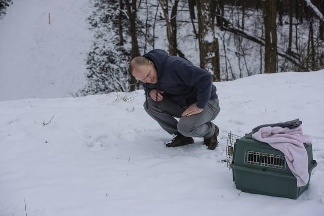 737131_web1_gtr-hawkrelease003-021219 737131_web1_gtr-hawkrelease003-021219