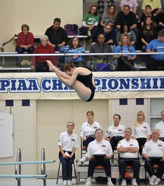 748914_web1_pts-PTdive-PaigeKalik-112918