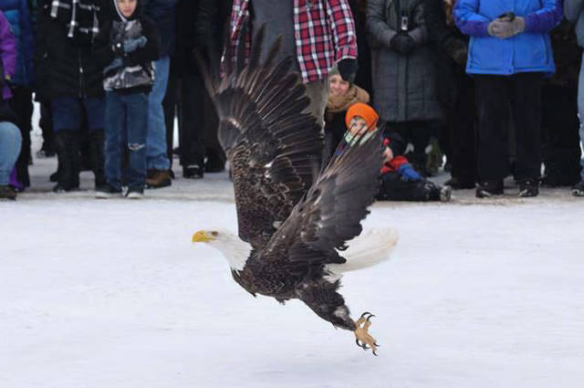 754495_web1_ptr-EagleB-021619