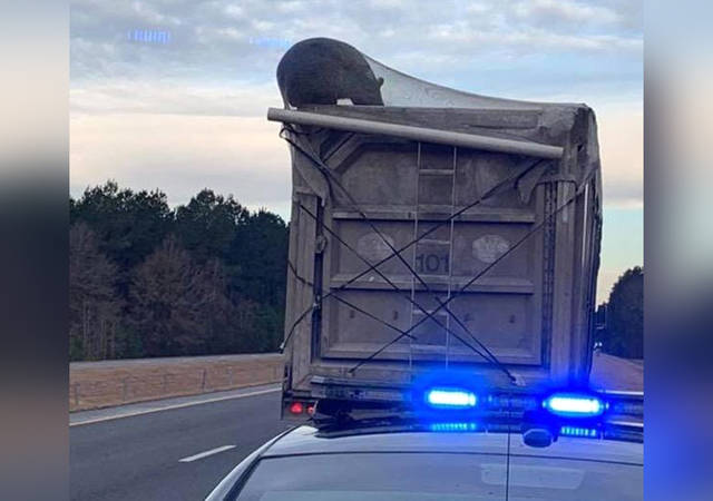 755350_web1_BlackBearDumpTruck