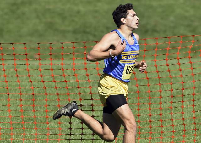 Mt. Lebanon’s Anderson named state’s top cross country runner by Gatorade