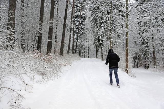 764319_web1_gtr-liv-535-layering-021819