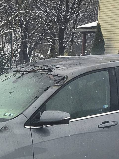 782070_web1_gtr-hempcrash23