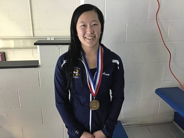 Beaver’s Cestra, Ringgold’s Vogt capture WPIAL Class AA diving titles