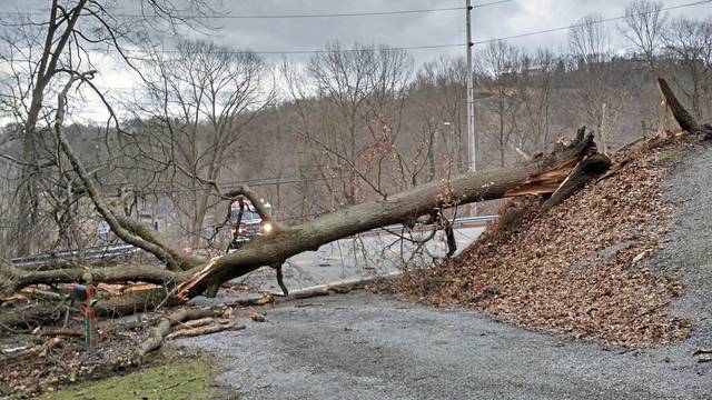 795410_web1_vnd-weatherdamage05-022519