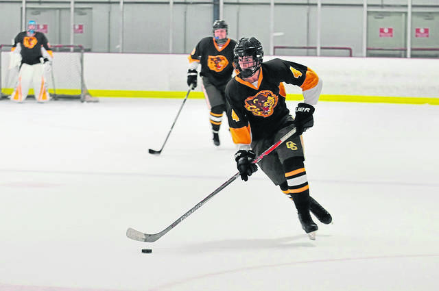 Westmoreland area hockey playoff capsules for games of Feb. 25,2019