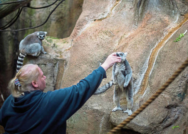 798438_web1_ptr-Lemur01-022719
