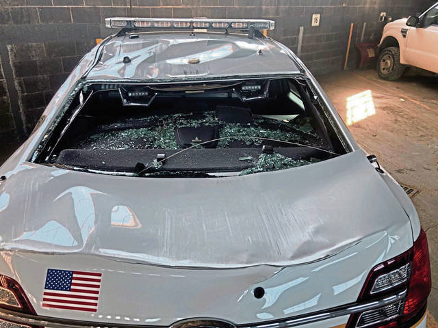 799176_web1_gtr-treeontrooper