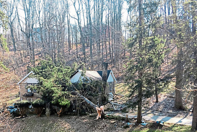 799808_web1_gtr-treedown1-022619