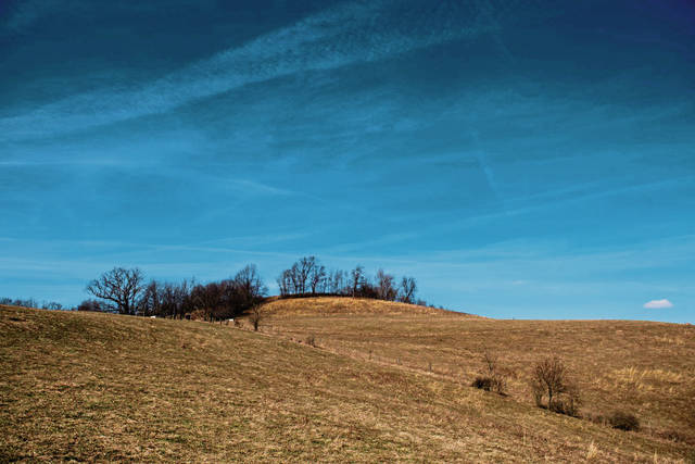 810510_web1_vnd-LigFarm002-030119