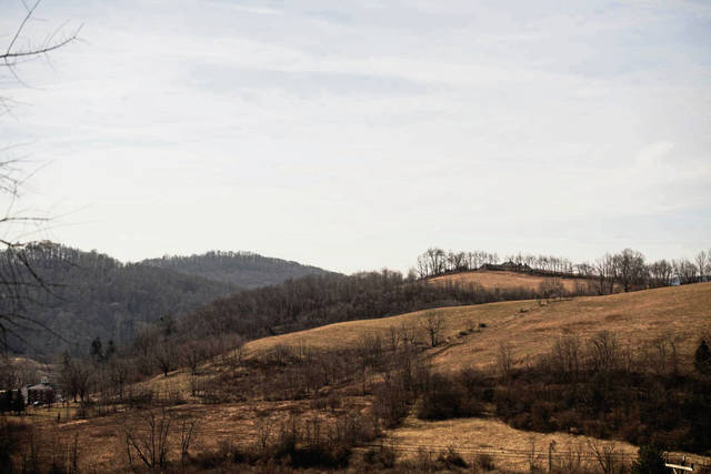 810510_web1_vnd-LigFarm003-030119