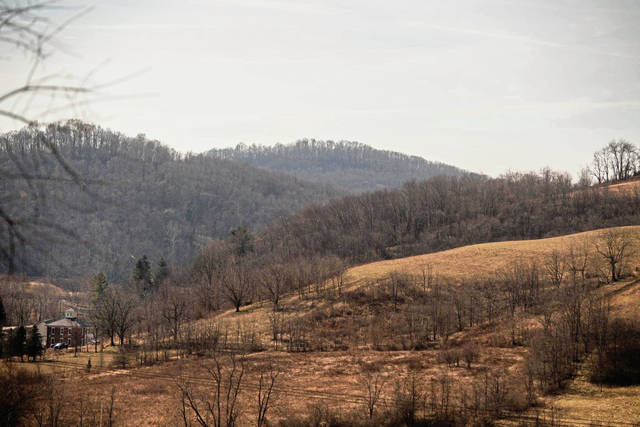 810510_web1_vnd-LigFarm004-030119