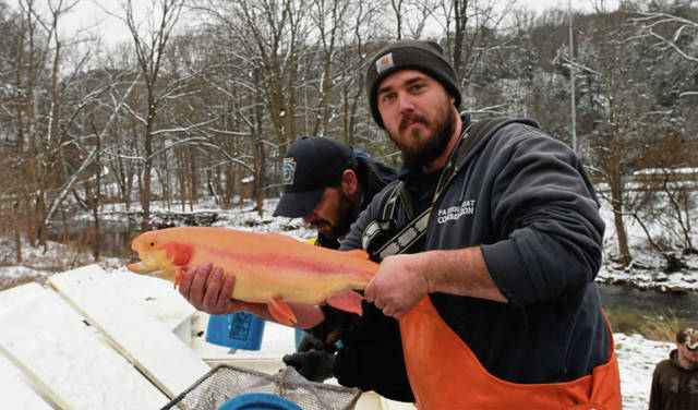 810627_web1_VND-TroutStream1-030219