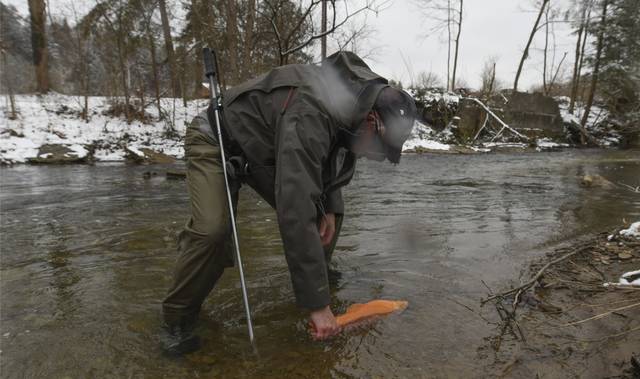 810627_web1_VND-TroutStream2-030219