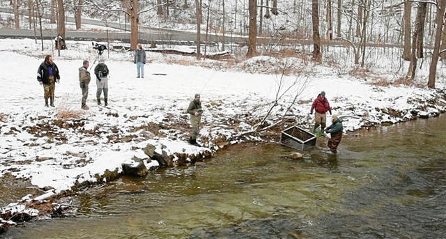 810627_web1_VND-TroutStream3-030219
