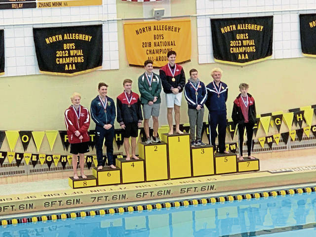 Franklin Regional’s Fishell grabs final PIAA diving spot