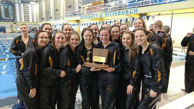 North Allegheny boys, girls swim teams maintain dominance at WPIAL meet