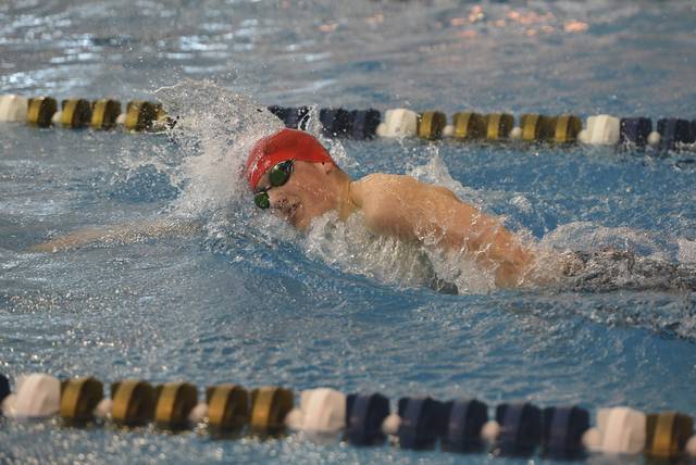 Northgate girls, Indiana boys crowned WPIAL Class AA swimming champions